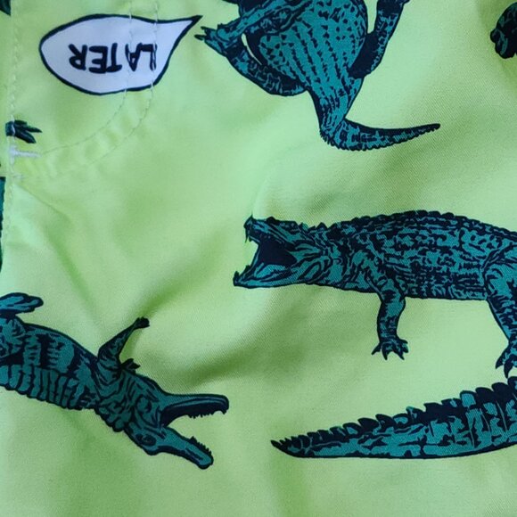 Carter's Green Later Gator Alligator Toddler Boy Swim Trunks Size 2T - Picture 4 of 5